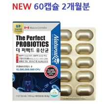 5세대 모유유래유산균 락토바실러스 가세리17 가루 프리바이오틱스 프로바이오틱스 분말 루테리 엘지지 rgg 유산균 알약 캡슐 멀티 장밀착 lgg 신바이오틱스 식약처 인증 인정, 49, 11