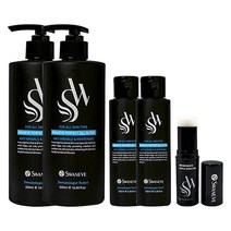스와니브 퍼팩트 올인원 500mlx2개+100mlx2개+퍼퓸10g 남성 주름개선 미백크림 스킨에센스 화장품, 35.3oz+7.0oz+0.6oz, 2세트