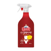 LG생활건강 홈스타 뿌리는 곰팡이 싹 750ml X 4개, 1세트