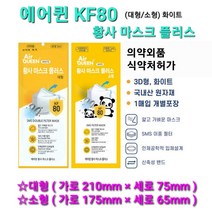 KF80 미세먼지 마스크 소형 대형 화이트 에어퀸 황사 마스크 플러스 개별포장 100매입 당일무료배송, 대형(100매입)