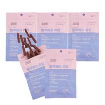 푸디웜 블루베리 츄잉 50g X 5개 묶음 저알러지 기능성 강아지간식, 블루베리츄잉50g X 5개 묶음