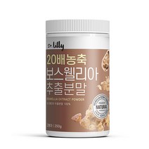 닥터릴리 20배 농축 보스웰리아 추출물 분말 가루 고급통, 150g 1통