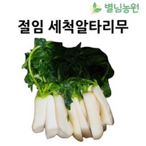 [별님농원] 절임알타리무 3kg 5kg 10kg 국내산 천일염으로 절인 손질 세척 알타리무 총각무, 세척 절임알타리3kg