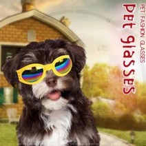 PLA956556 보안경 방역눈보호 UV 고글 애견선글라스 애완동물 안경 접이식 주다사 의료용 승무, 블랙 BL00723