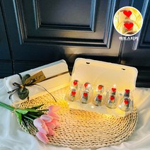 러블리팜 에그머니박스+LED 조명, 러브 ver. 10구