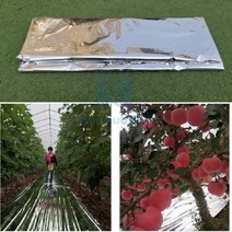 비닐하우스 가정용 옥상 소형 조립식 다육이 온실하우스 너비 은색 정원 야채 막 과수원, 1mx20m