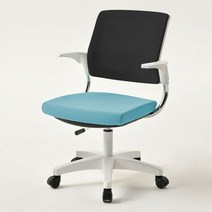 올데이즈 유니체어 화이트바디 메쉬 블랙타입, 스카이블루