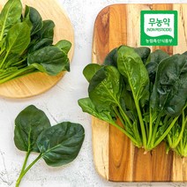 삼시세끼연구소 친환경 유기농 시금치 섬초 200g 300g, 친환경 시금치 300g