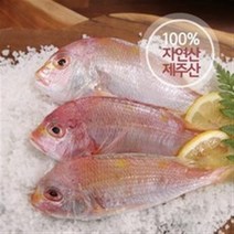 기타 제주 자연산 황돔 300g*13팩(팩당 3마리 포장) / 총 39마리, 1세트