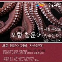 우체국쇼핑 참문어 생물문어 동해안 자숙문어 3Kg
