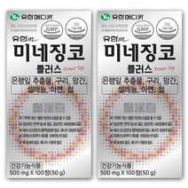 유한m 미네징코 100정X2병 은행잎추출물150mg 혈행개선 기억력개선, 50g, 100정X2개