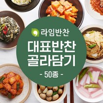 라임반찬 수제반찬 골라담기 나물 무침 볶음 장조림 샐러드, 13.돼지고기장조림, 1팩, 280g