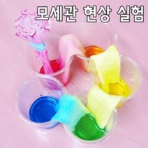 색깔물 옮기기 (5인) 모세관 현상 실험키트 과학실험