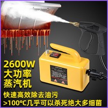 스팀기 고압 고용량 업소용 청소기, 2600W 자동 스프레이 건 하드 커버 블랙