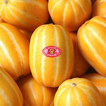 농부마음 꿀가득 정품 경북 성주참외, 1box, 3kg 9-15과