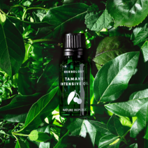 [네이처리퍼블릭] 허브올로지 타마누 인센시브 오일 20ml, 1개