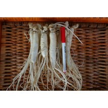 금산인삼 6-4년 영업용 삼계 가정용 정과용 믹서용 선물용 원수삼 세척수삼 금산부부인삼, 1개, 세척/4-6년 믹서용20-30뿌리