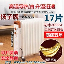 라디에이터 스팀난방기 온수방열기 라지에다 히터 가정용 전기 난방 오일, Yangzi 폭발 17 조각 2000w 세 번째