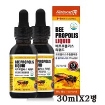캐나다 비프로폴리스 리퀴드 프로폴리스추출물 액상 드롭 항산화 구강건강 향균 면역기능 환절기 목건강 플라보노이드 온가족 직장인 영양제