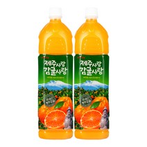 롯데칠성음료 제주사랑 감귤사랑, 1.5L, 6개