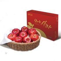 2023설 남도장터 에코한마음 저탄소 장성사과 5kg (17-18과/부사 선물용)