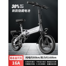 접이식 전기자전거 속도 배터리 스페셜 출퇴근용 전동자전거 자전거 미니벨로, H 알루미늄 대리 운전 버전 / 80KM