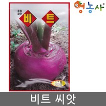 비트 씨앗 200립, 1개