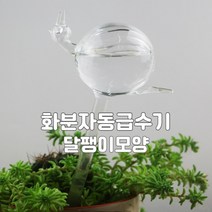 와이재재 화분자동급수기 달팽이모양 200ml, 1개