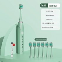 진동연모칫솔 충치기 충전대 자동초음파식 성인용 전동칫솔 발렌타인 선물, S6녹색충전모델[6브러시헤드+Usb충전케이블], 하나