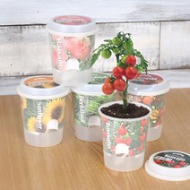 (꿈쟁이) 그로우 톡톡 - 마음을 노크하는 작은 정원_O/N 1419iEA, 윌비굿 봉선화