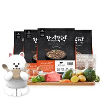 한끼뚝딱 클래식 국산 강아지사료 1kg+한입덴탈 4p, 2_양고기 1kg