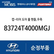 캡-리어 도어 풀 핸들 우측 (83724T4000MGJ) 제네시스 G90