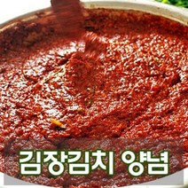 [당일 배송] 국산 김장 김치 양념, 5kg
