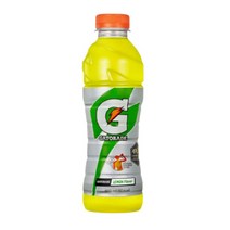 게토레이 레몬 캔, 600ml, 20개