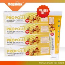 메가맥스 뉴질랜드 프로폴리스 치약 160g x 1개_ 167602EA×151Ic, 1, 본상품선택