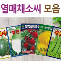 살아있는 씨앗 모음 열매씨앗 여주 우엉 박 토마토 참외 수박 오이 호박 가지 옥수수 깨 콩 팥 수수 밀 배추 양배추 열무 알타리 당근 무 비트 콜라비 고추 파프리카 종자, I-녹광백침오이 x 1개, 1개