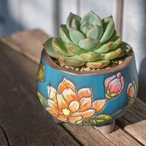 다육맘 수제화분 꽃담분4, 청록