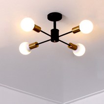 로이 4등 직부 방등 램프 미포함, 블랙