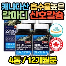 캐나다산 대용량 칼슘 마그네슘 아연 비타민 영양제 유아 대용량 20대 30대 40대 50대 산모 축하 노인 선물