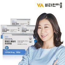 [KT알파쇼핑]비타민마을 온가족 눈영양제 프리미엄 루테인 패밀리 90포 x 4박스, 상세페이지참조