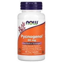 나우 푸드 피크노제놀 60mg 50베지캡슐 소나무 껍질 추출물, 2개, 50정