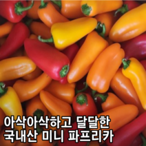 [국내산/국산] 아삭아삭 직접 재배한 미니파프리카 200g 500g 1kg 2kg 달달한 간식용 미니 파프리카 스낵파프리카 다이어트 베이비 스낵 애기 꼬마 한입채소 미니채소, 200g(한팩)