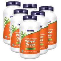 나우푸드 위트 그래스 밀싹 파우더 255g NOW Wheat Grass Powder, 6팩