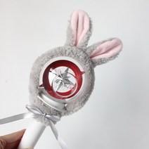 스트레이 키즈 Stray Kids 스키즈 응원봉 나침봉 다꾸 보호 커버 22종 콘서트 응원, D