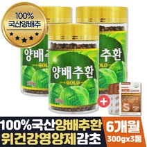 양배추환 위헬리코박터균 위점막보호 케어 감초 6달분
