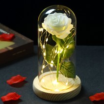 남자친구이벤트LED 매혹적인 갤럭시 로즈 영원한 24K 골드 호일 꽃 요정 문자열 조명 돔에 크리스마스 발렌, 018