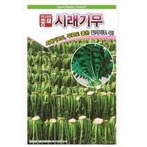 아시아종묘 시래기무씨 무우씨앗 종자 (2000립)
