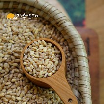 장수양행 우리밀2kg 국산 통밀 백강밀, 1개, 2kg