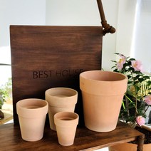 베트남 토분 살구색 키큰기본형 알토플라워 16x19cm, 본상품선택