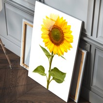 프리미엄 해바라기 아크릴 액자 행운 해바라기, 8.행운 해바라기8